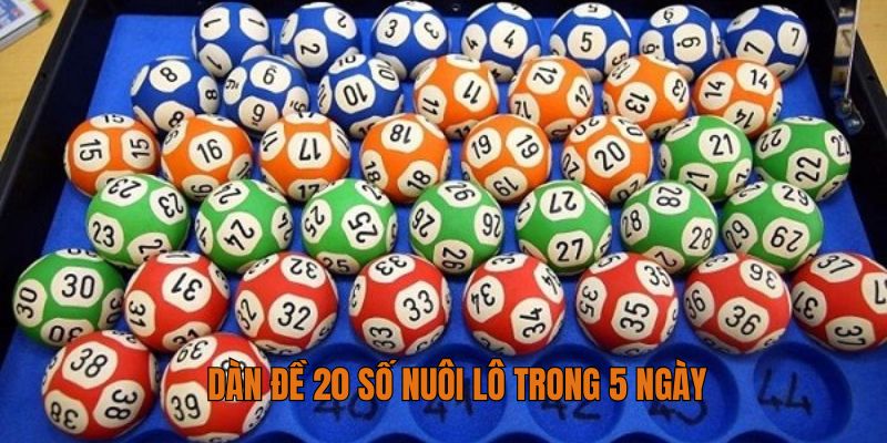Dàn đề 20 số nuôi lô trong 5 ngày