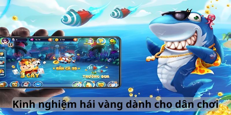 Kinh nghiệm hái vàng dành cho dân chơi