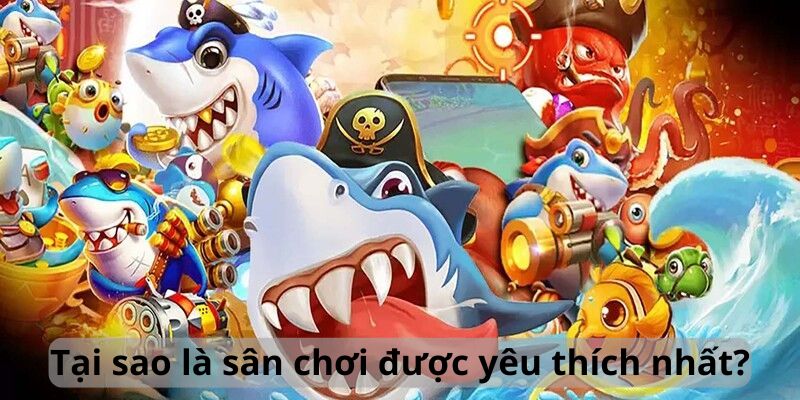 Tại sao là sân chơi được yêu thích nhất?
